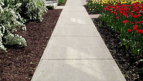 Cost of Sidewalk Concrete Replacement in Edison