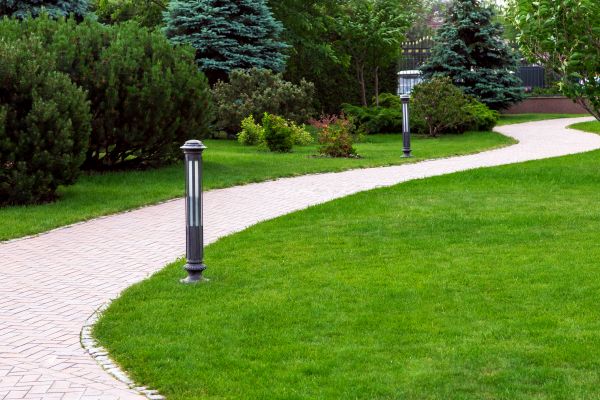 Cost of Backyard Sidewalk Installation in Edison