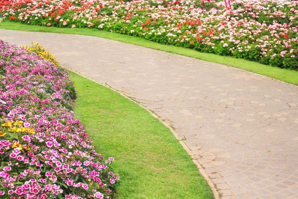 Cost of Concrete Walkway Service in Edison